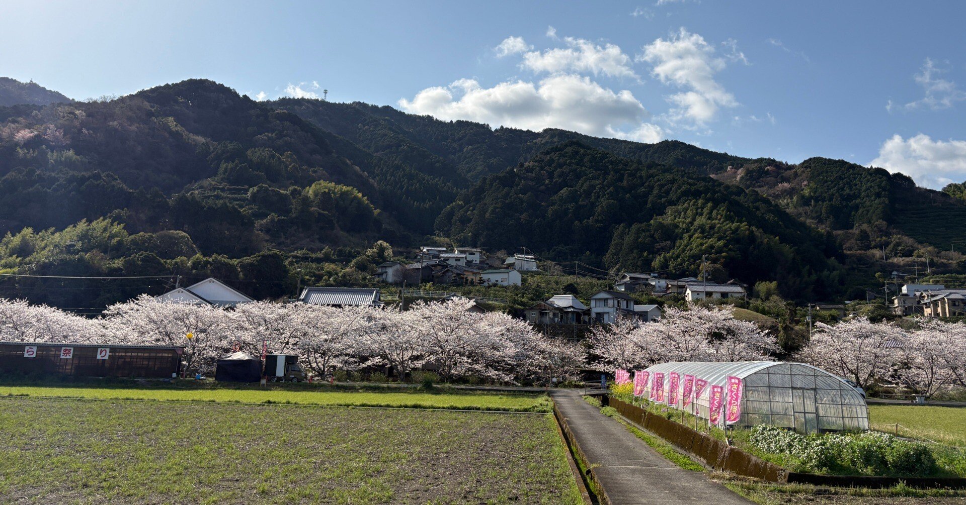 徳島県 上勝村・神山町・勝浦町の視察｜チェンマイ坂田 │マニタビ