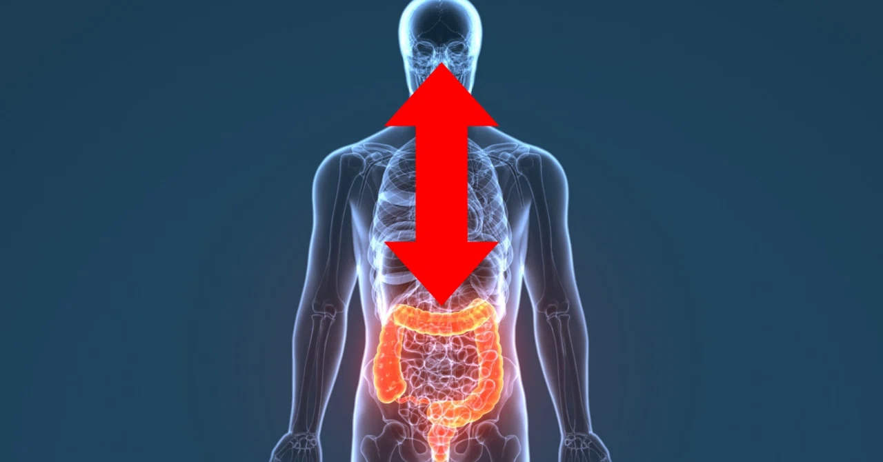 最新｜脳の信号で腸内細菌叢がわずか2時間で劇的に変化していたと判明