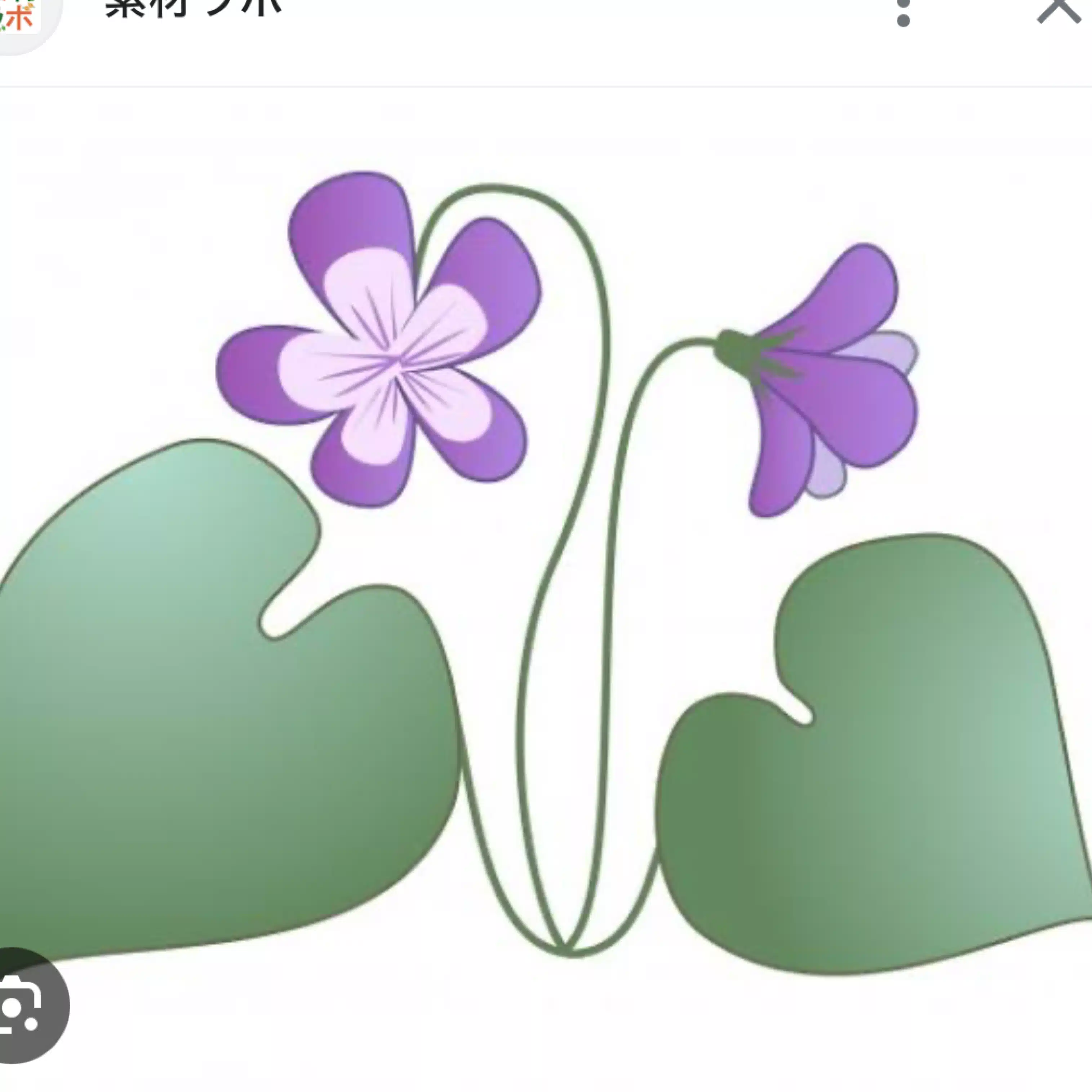 すみれ　ゆらゆらjournal