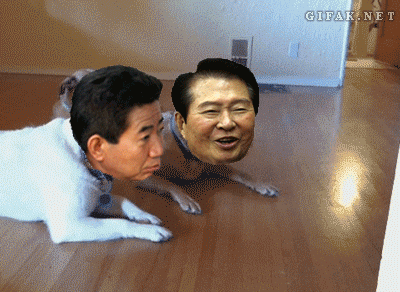 Noteで簡単にgifを表示する方法がやっと分かった エルケン Note