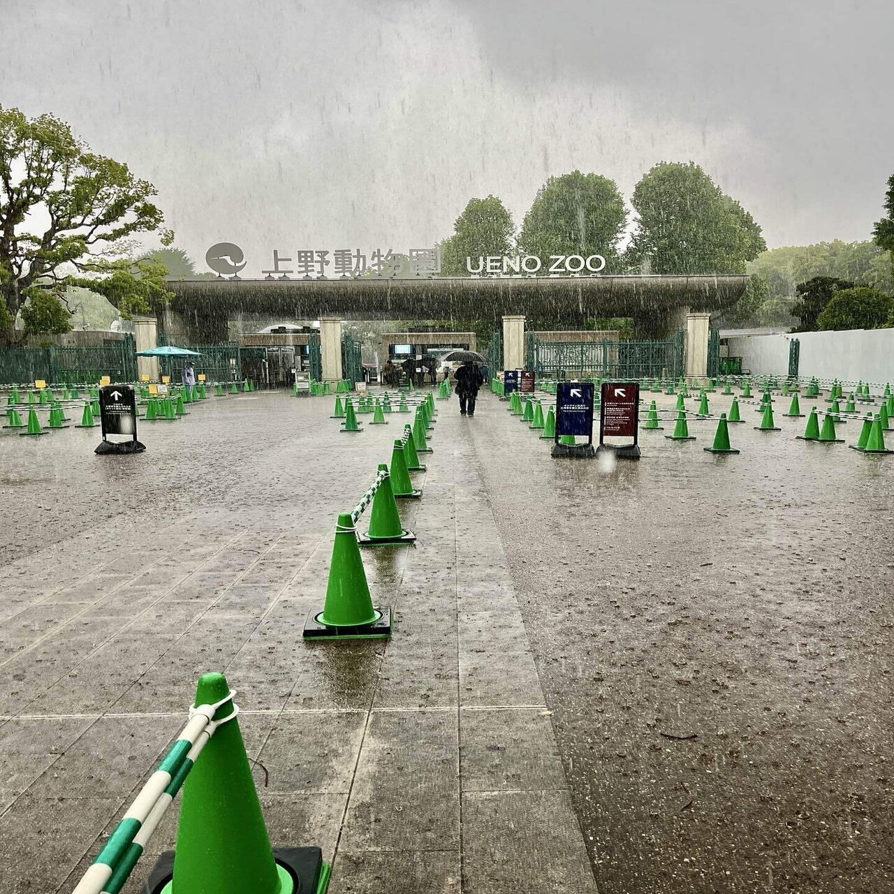 土砂降りの上野で初体験（2025/427〜5/3）｜しげさん, image size:1280x1707