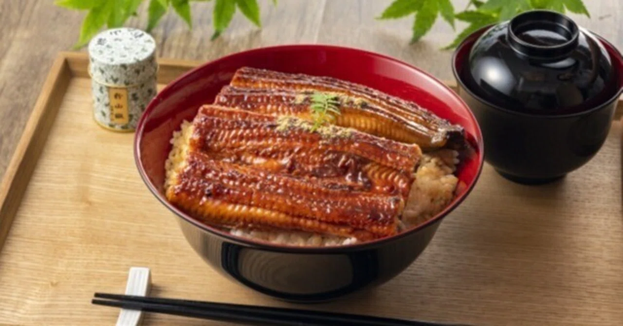 100年先に伝えたい日本の美味しい丼料理｜かのまた まさお