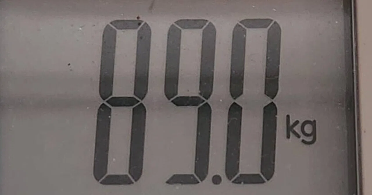Weight Record Day 96｜デブごん（まさごん）のぐうたらダイエット日記