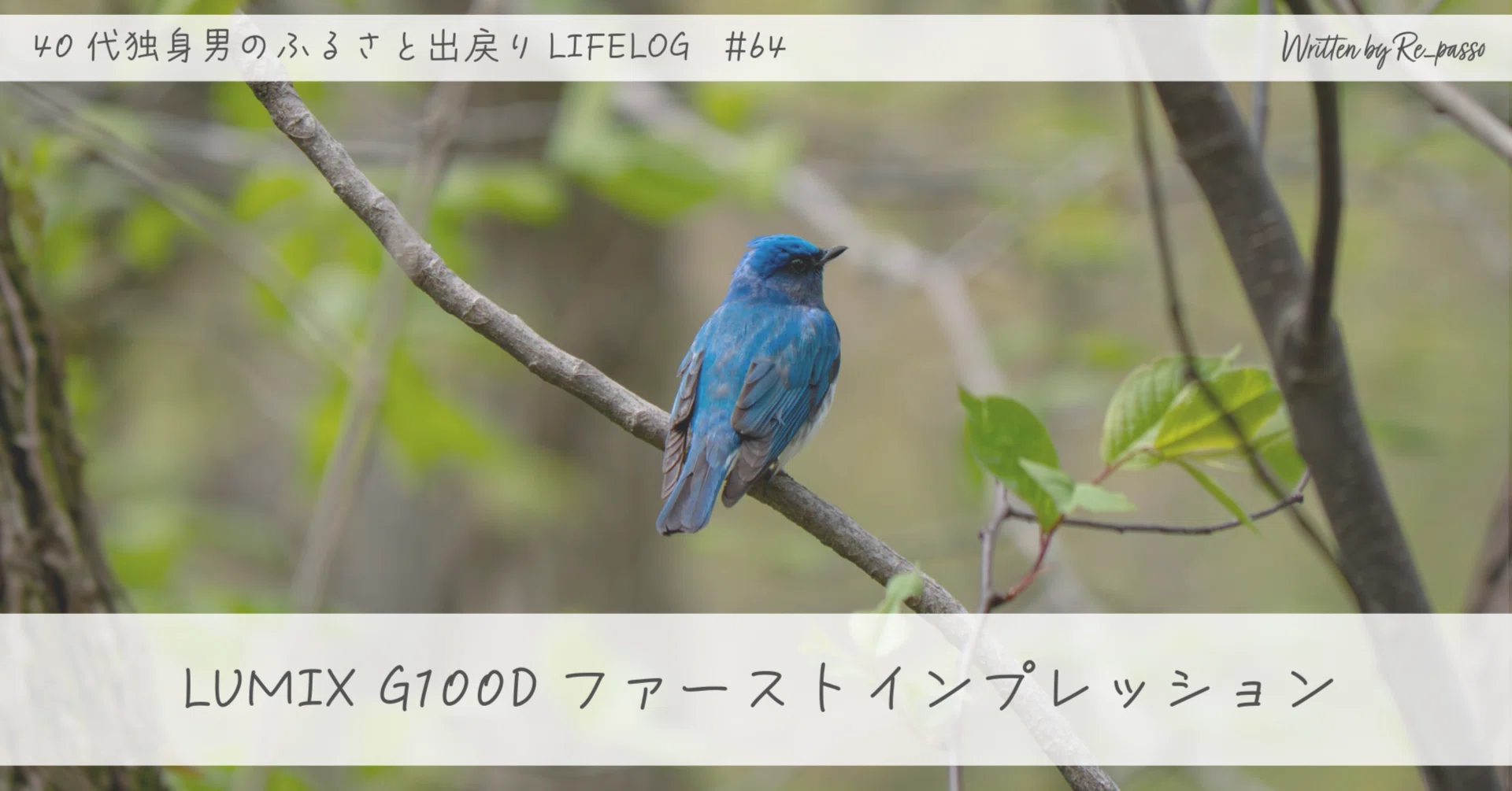 LUMIX G100Dファーストインプレッション｜Re_passo