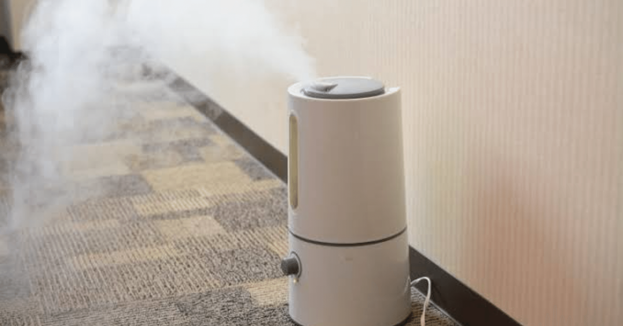 空気も湿度もこれ1台！2025年注目の多機能加湿空気清浄機まとめ｜今日