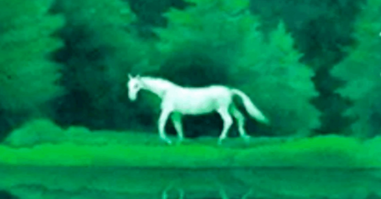 東山魁夷 爽風明水 日本経済新聞社 風景画 作品集 画集 8枚 四季 景色 美術 911RKKTCS7L.jpg