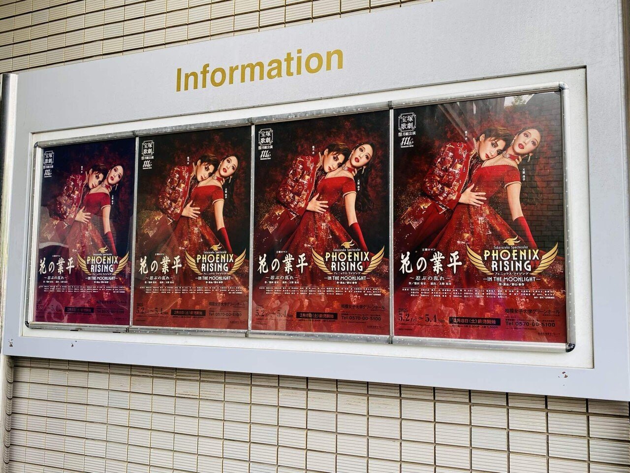 花組 全国ツアー公演 ミュージカル・ロマン 販売済み 長い春の