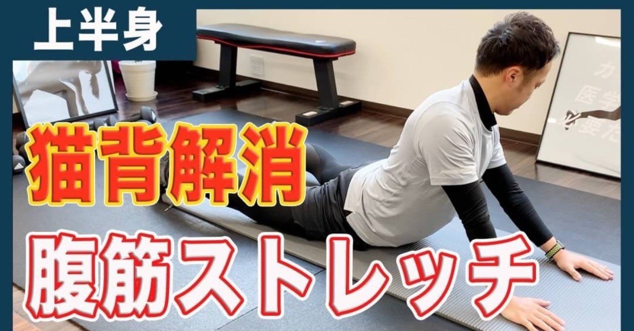 スポーツ選手向けストレッチ動画 腹筋 平 純一朗 理学療法士 アスレティックトレーナーnote Note スポーツ選手向けストレッチ動画 腹筋 平 純一朗 理学療法士 アスレティックトレーナーnote Note