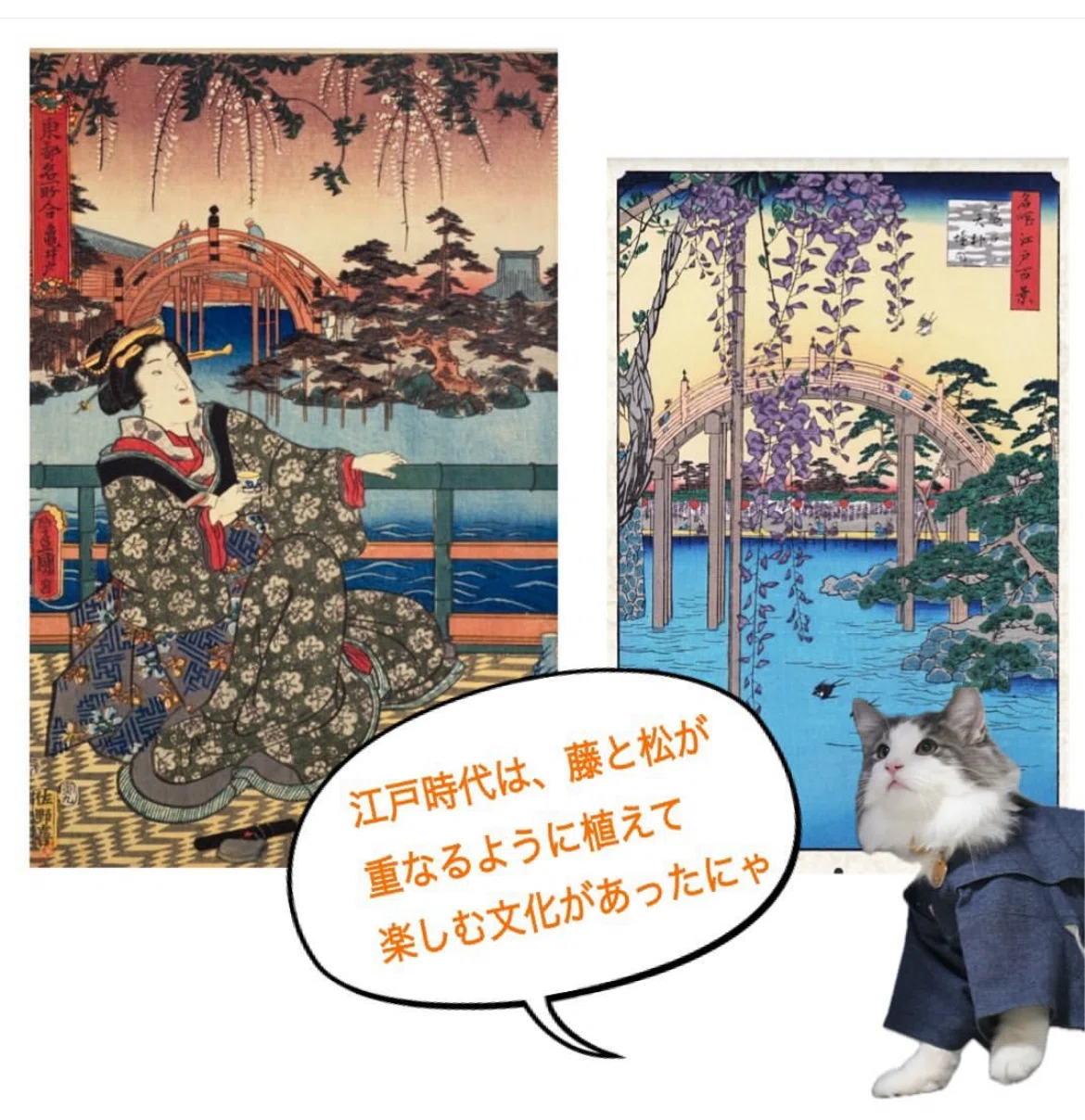 お為さんの時代の亀戸天神｜お瀧 / 歌舞伎の町亀戸の魅力を発信する人