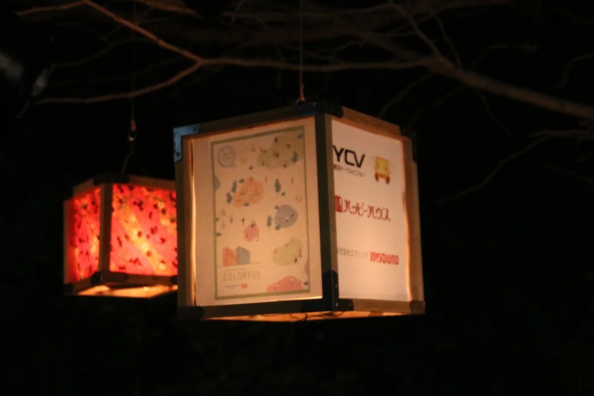 画像14
