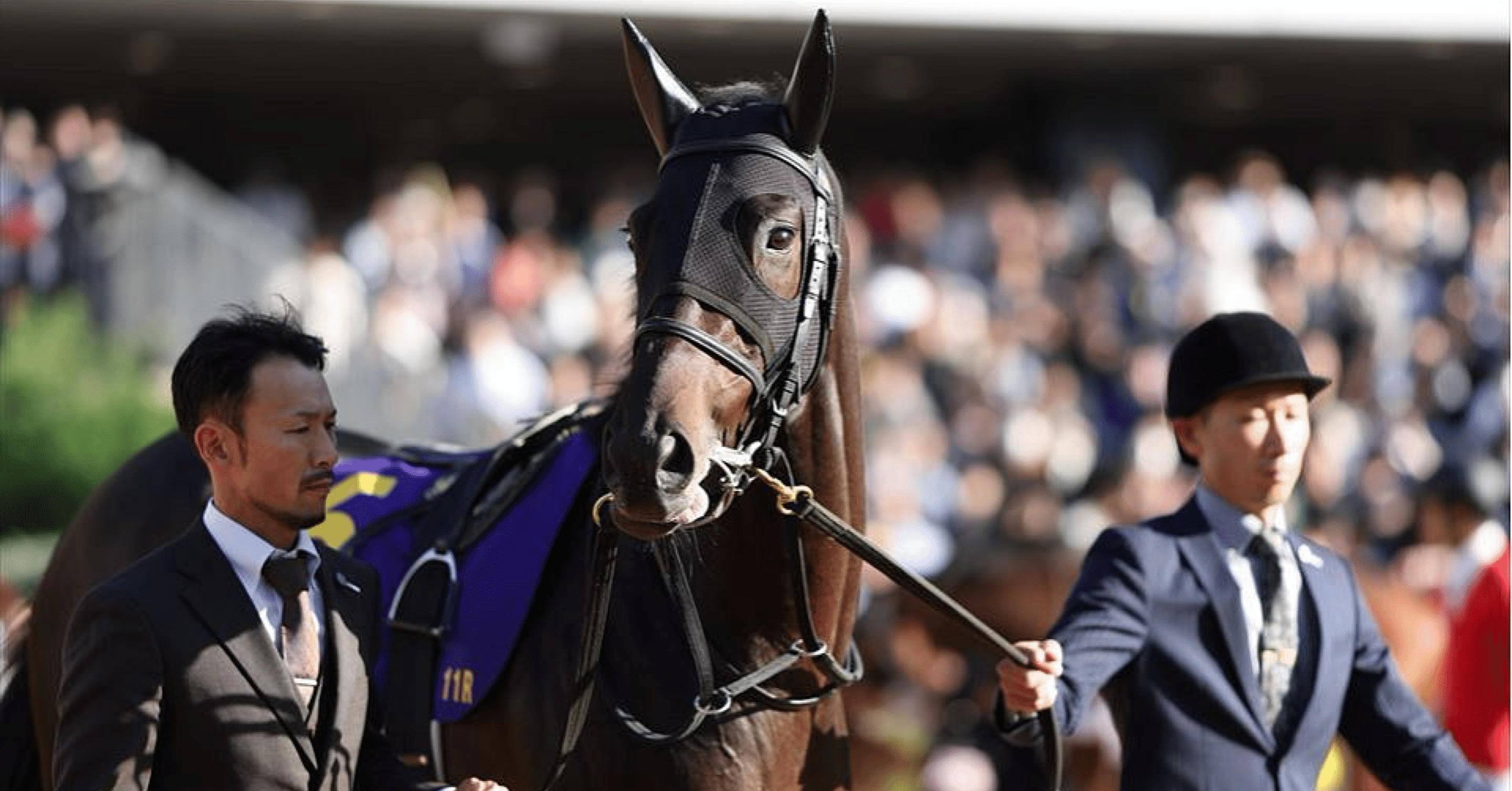 競馬　一口馬主出資パネル 一口馬主】「出資しなかった馬」がG1を勝ってしまったとき、人は