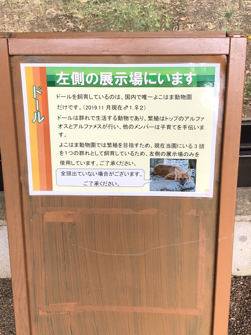 動物園とコミュニケーション 殻アキラ Note 動物園とコミュニケーション 殻アキラ Note