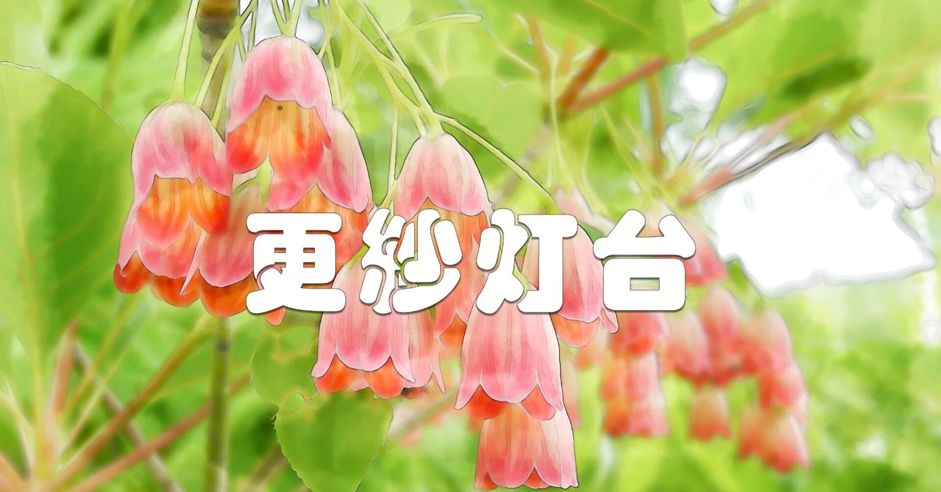 更紗灯台（サラサドウダン・水彩画風）｜taka