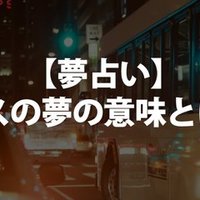 夢占い 熊の夢の意味とは について書きました 占いちゃん Note