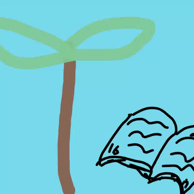 Seed of Story