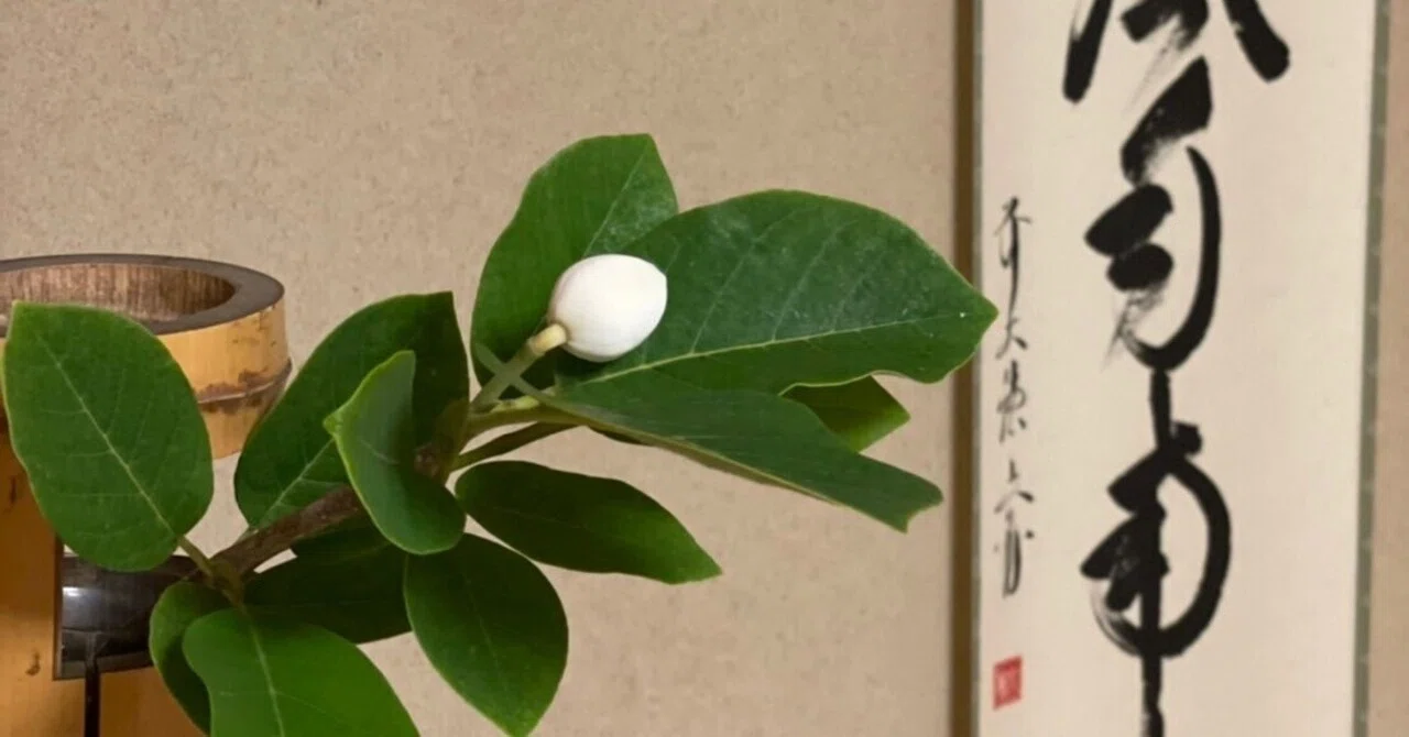 初風炉の茶花｜kohaku