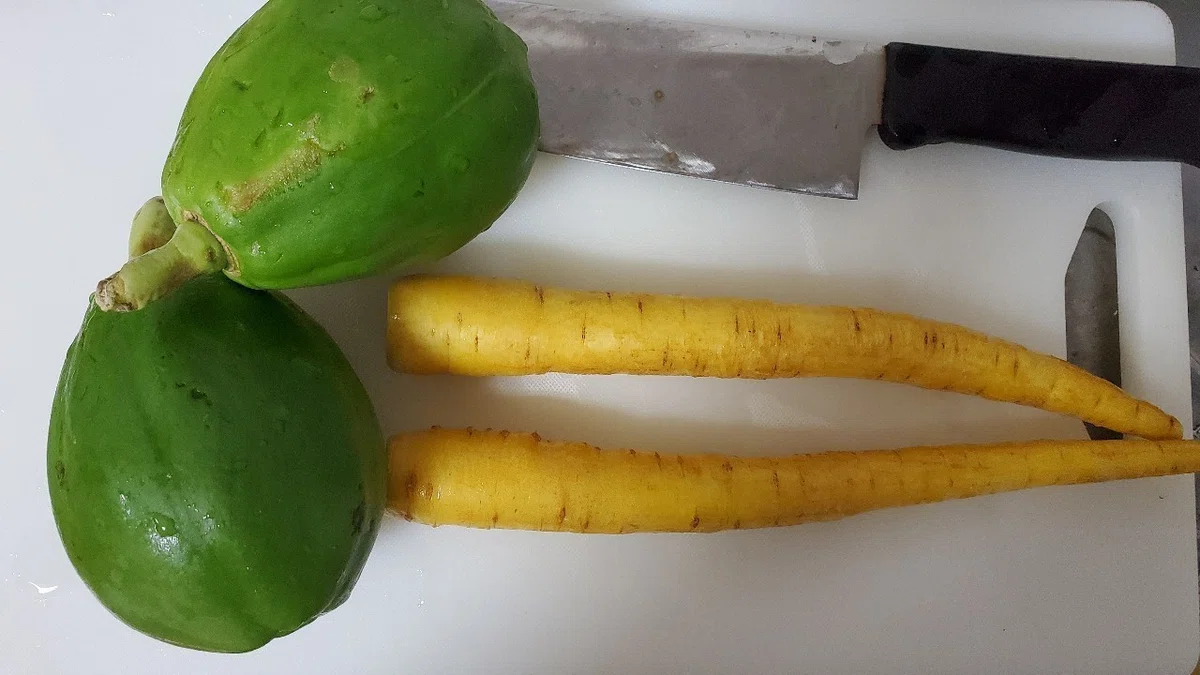 Recipe: Okinawa Island Ingredients [Green Papaya and Island Carrots]｜萌絵