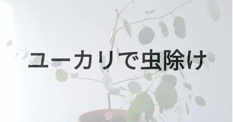 ユーカリで虫よけ 渡邊洸悟 わったん Note