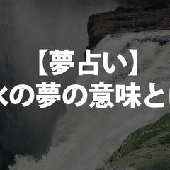 夢占い🔮】猫の夢の意味とは。😺たくさん、怪我、眠っている、死ぬ 