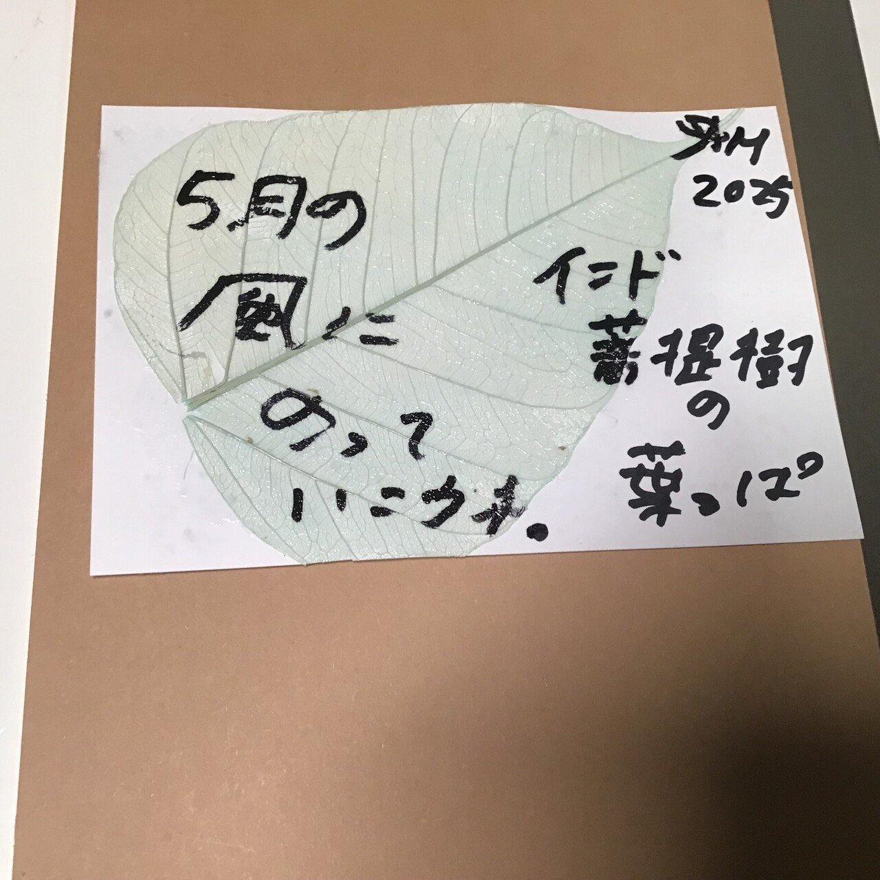 インド🇮🇳菩提樹の葉っぱを、アクリル絵の具で🎨アート🎨して