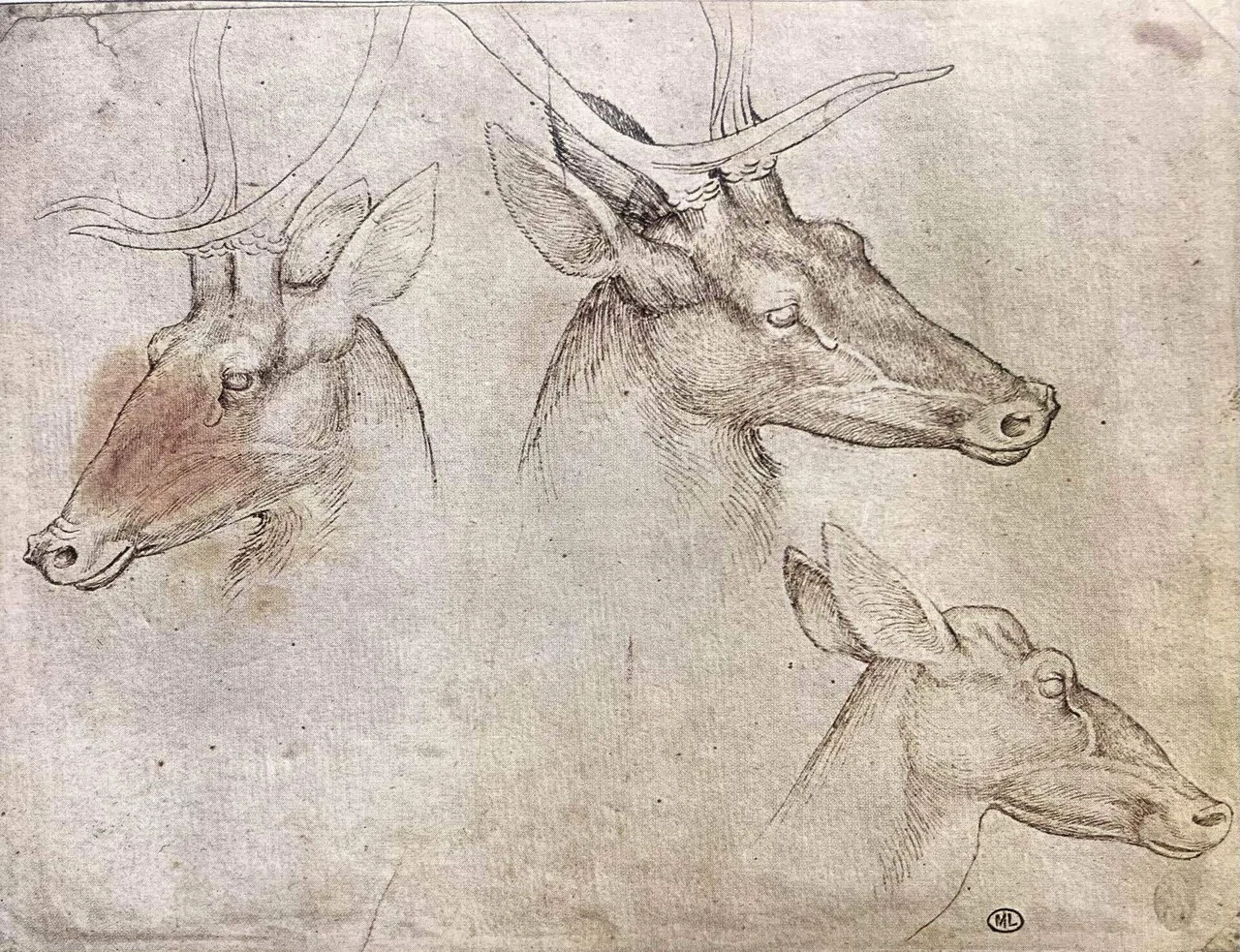 80歳夫婦イタリア絵画旅行記 (32)｜Caita911