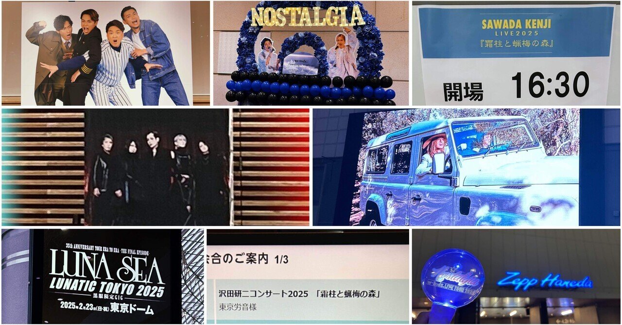 21歳による｢2025年に見に行ったLIVE全ての感想｣①｜SHU-TO.