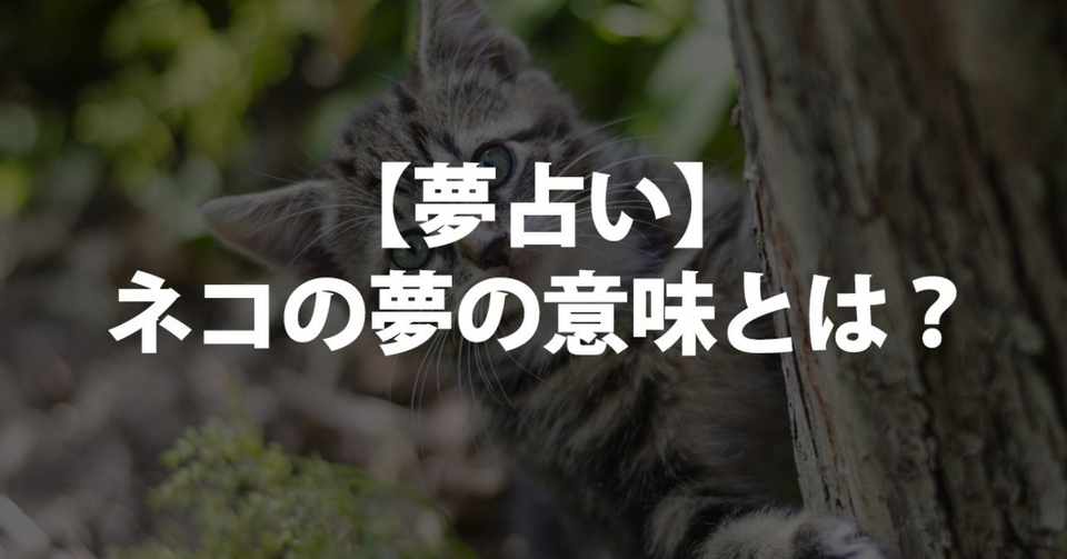 夢占い 猫の夢 の意味とは たくさん 怪我 眠っている 死ぬ 死骸 可愛がる じゃれる 舐められる 飼う 襲われる 追われる 助ける 引っかく 噛まれる 殺す 喧嘩 癒やされる 飼い猫 黒猫 白猫 占いちゃん Note