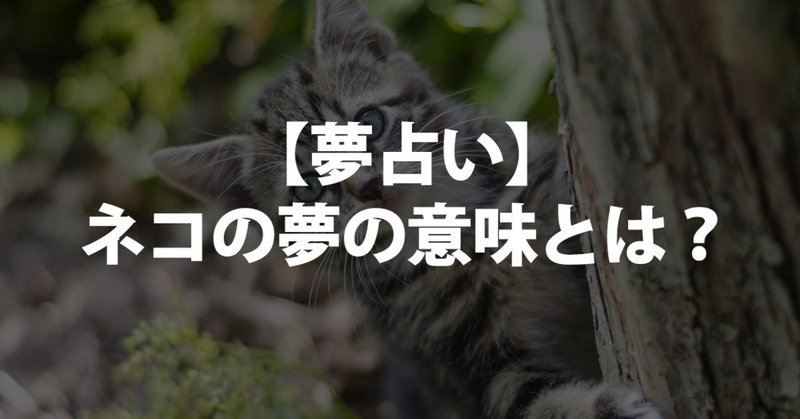 夢占い 猫の夢 の意味とは たくさん 怪我 眠っている 死ぬ 死骸 可愛がる じゃれる 舐められる 飼う 襲われる 追われる 助ける 引っかく 噛まれる 殺す 喧嘩 癒やされる 飼い猫 黒猫 白猫 占いちゃん Note