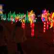 The Glow Shannon Saunders こやま Note