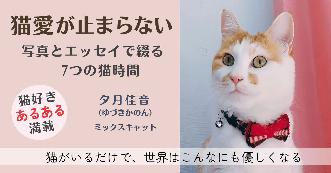 新刊のお知らせ】猫愛が止まらない！写真とエッセイで綴る7つの猫時間