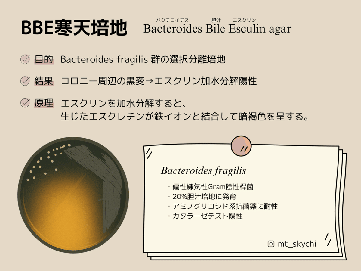 幅広い微生物検査を目指して―検出頻度は低いが医学的に重要な細菌・真菌感染症の検 幅広い微生物検査を目指して―検出頻度は低いが医学的に重要な