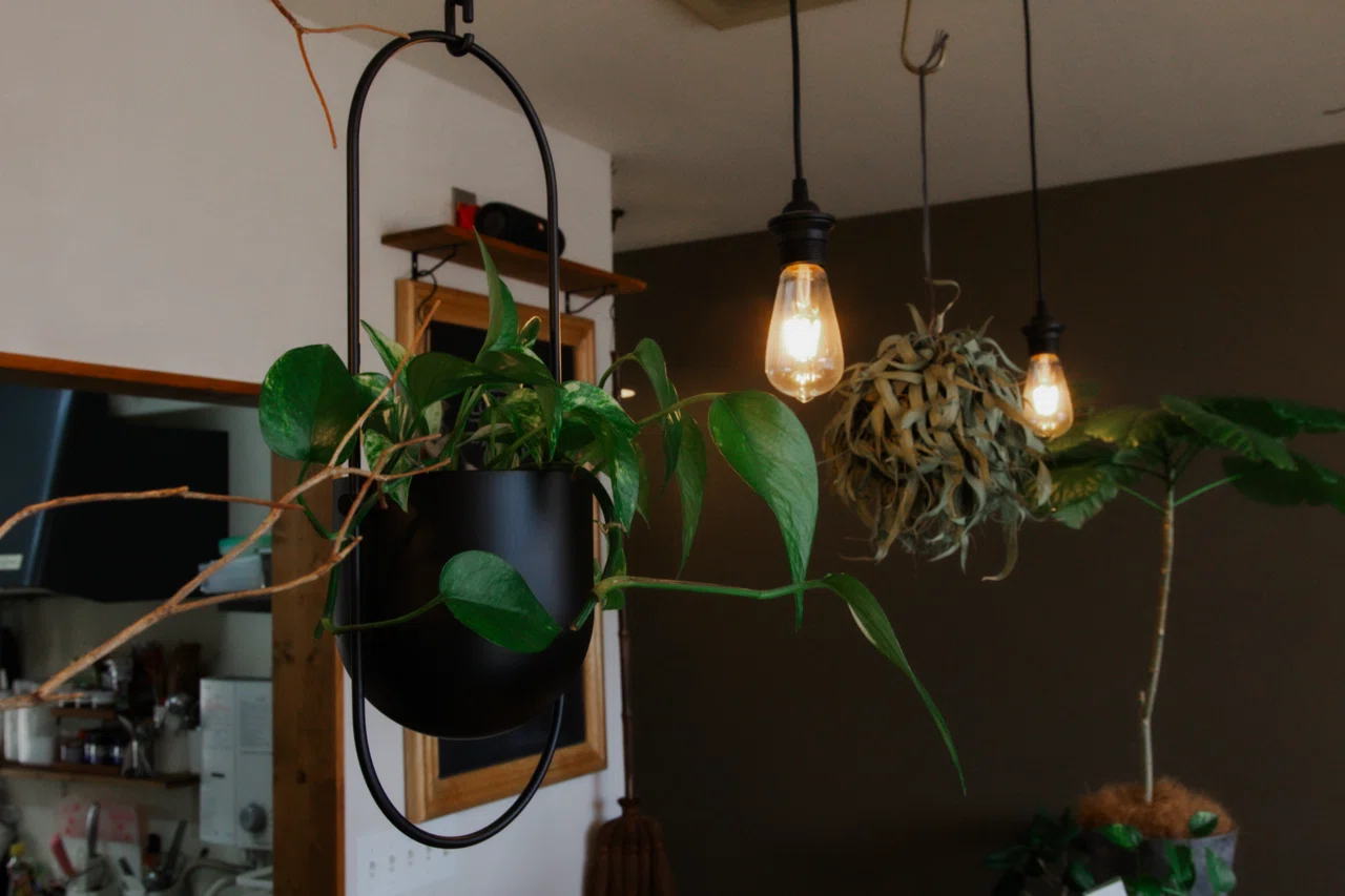 [A Cafe Surrounded by Flowers and Fragrance] A Visit to 
