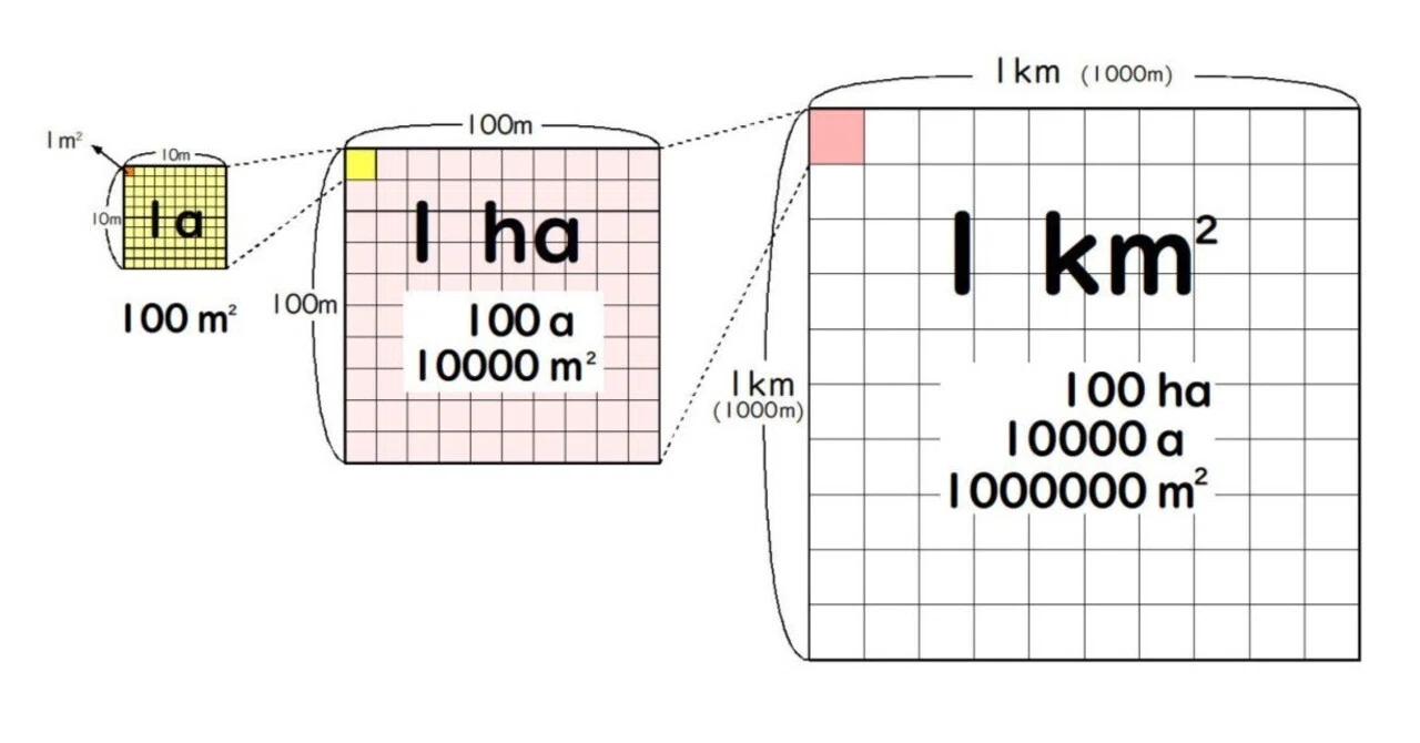 Getting Comfortable with Units of Measurement (2) ～Area～｜算sun輝き