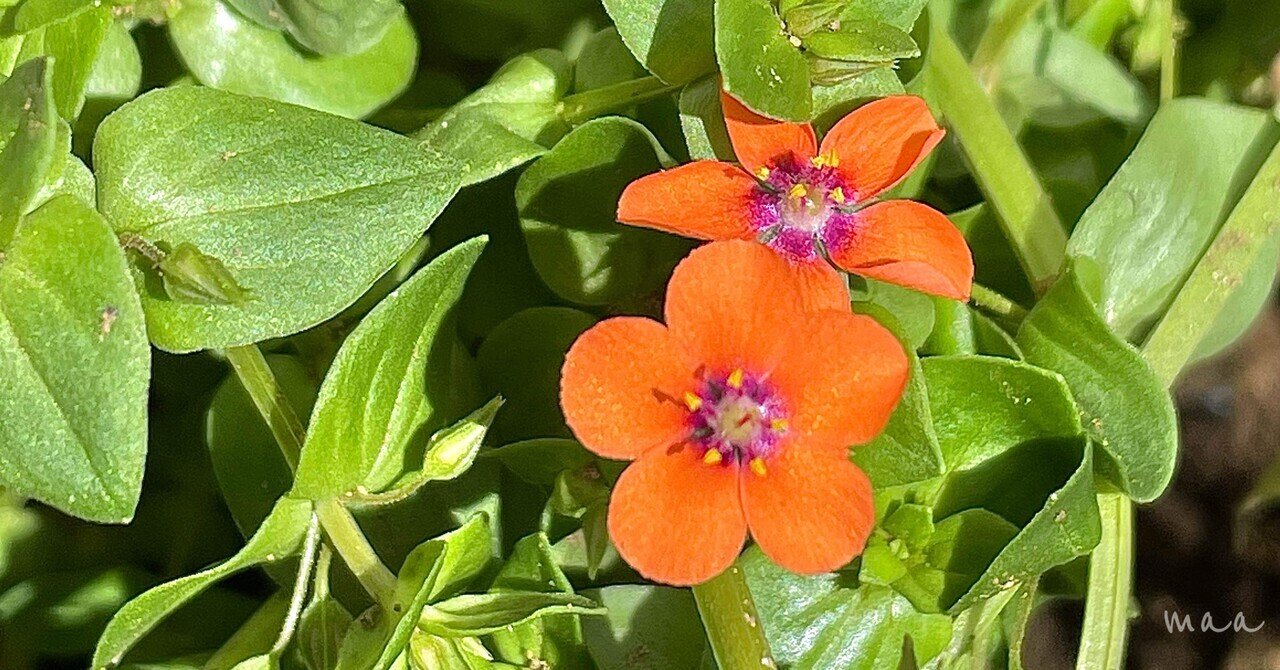 ミニサイズモノメタルモデル「木花咲耶(コノハナサクヤ)」｜en