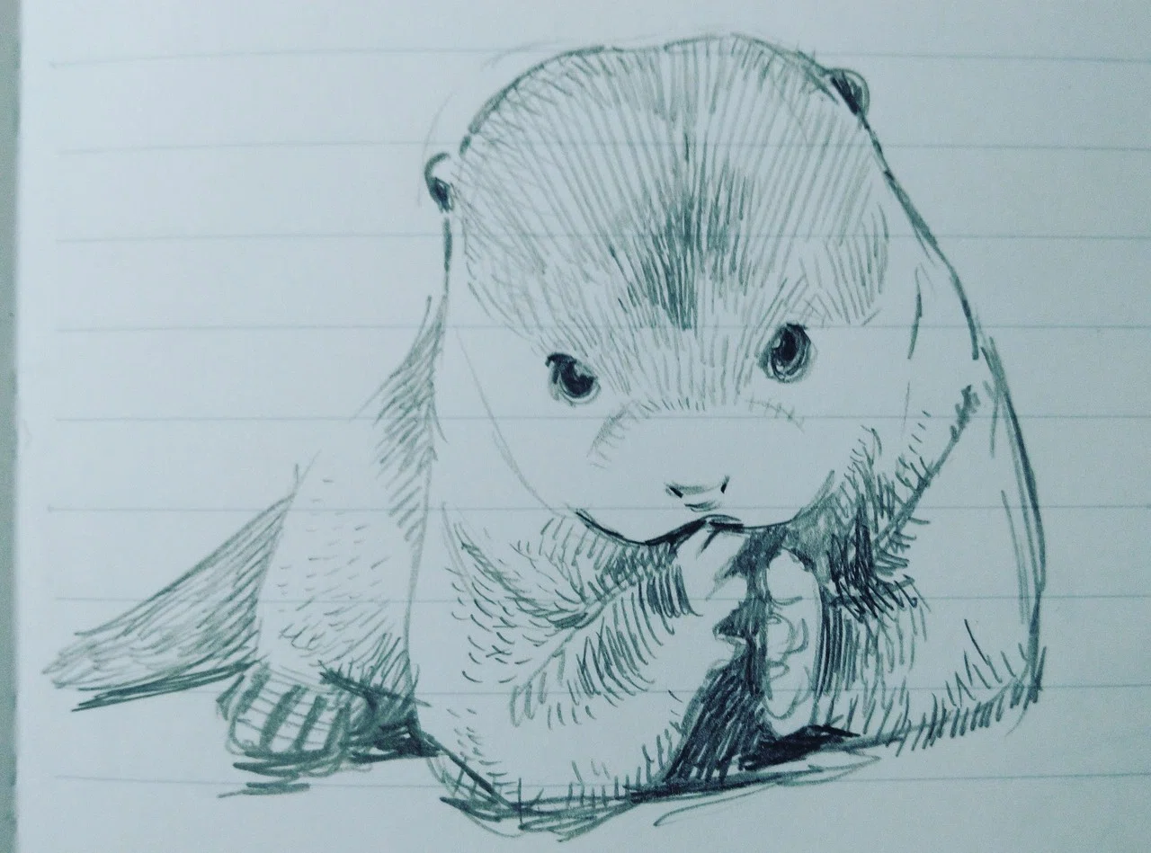 カワウソラインスタンプ作った時のラフスケッチです 色を塗るのが大変そうで実際の完成したスタンプはもっと漫画チック になってます 内藤伸二 漫画家 Note カワウソラインスタンプ作った時のラフスケッチです 色を塗るのが大変そうで実際の完成したスタンプはもっと漫画チック になってます 内藤伸二 漫画家 Note