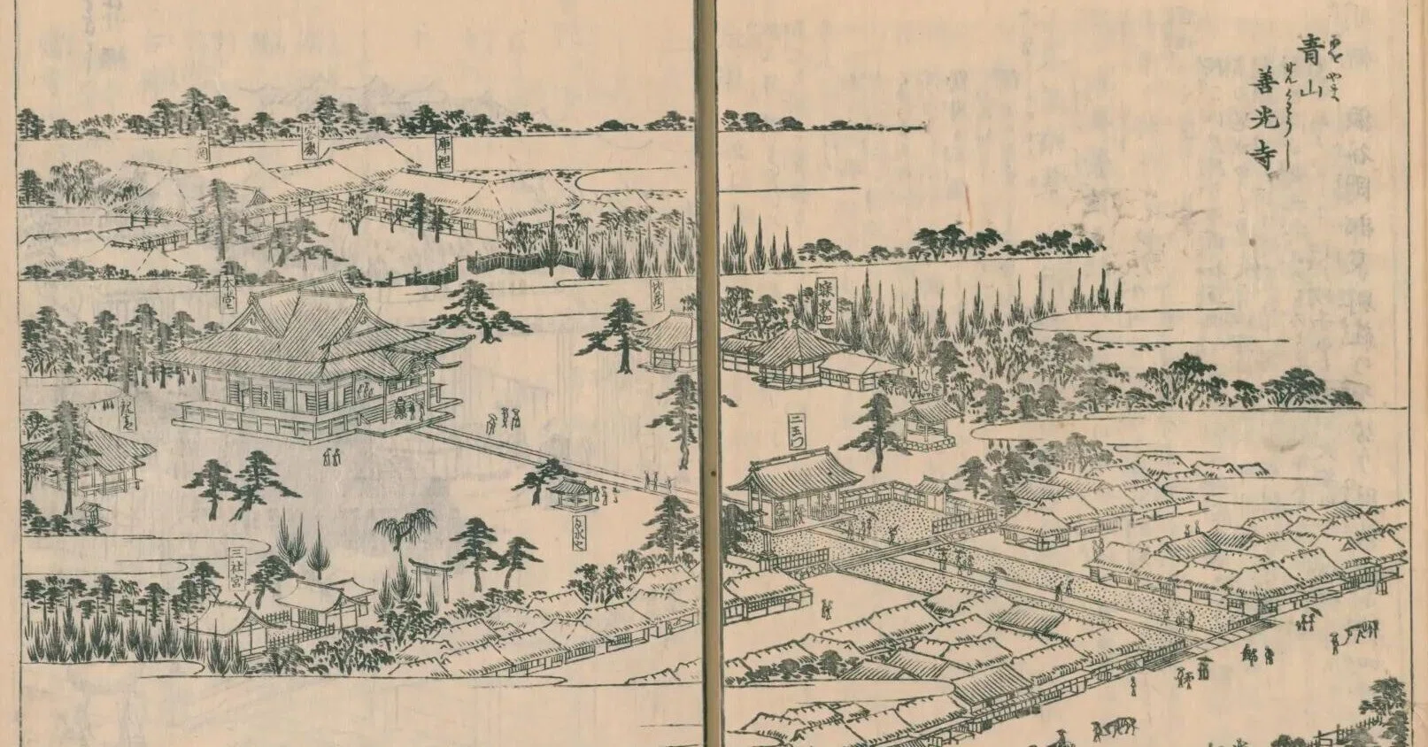 原宿の歴史 ① 1705年 江戸の名所「善光寺」｜渋谷のレコード屋の雑記