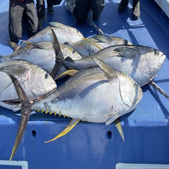 250430キハダキャスティング英盛丸｜HILLA-HILLA-JIGLLA