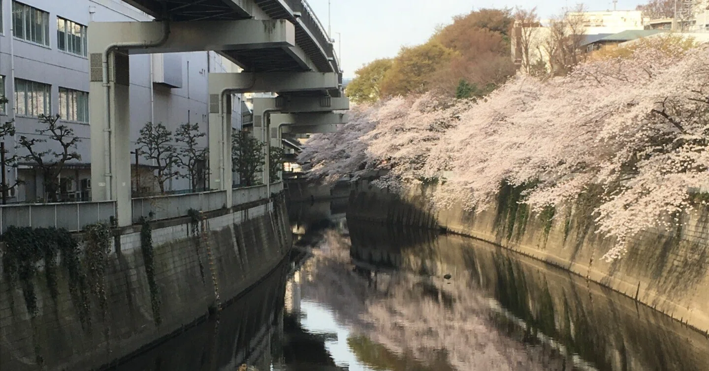 歌川広重：江戸名所百景「せき口上水端はせを庵椿やま」｜Born in 