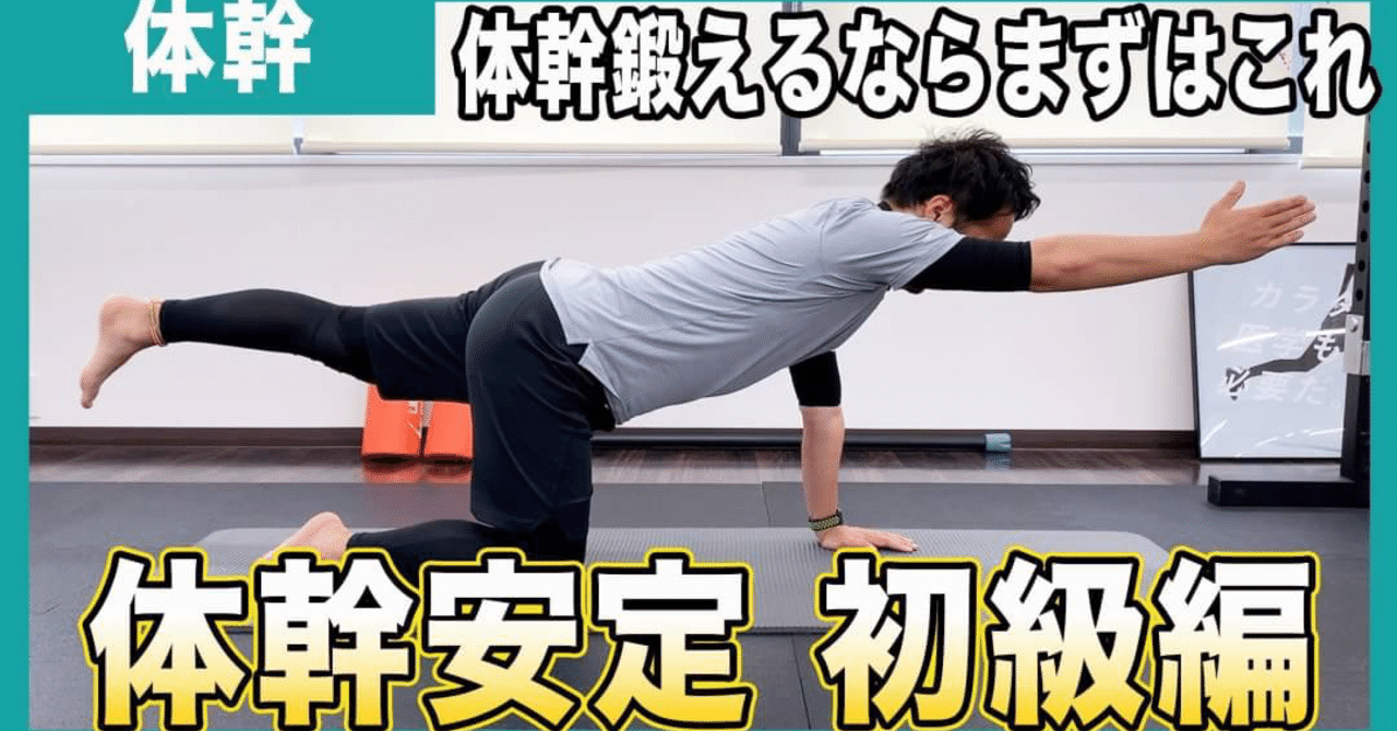 身体の土台を作る スポーツ選手のための体幹トレーニング 初級編 L Fit Note 身体の土台を作る スポーツ選手のための体幹トレーニング 初級編 L Fit Note