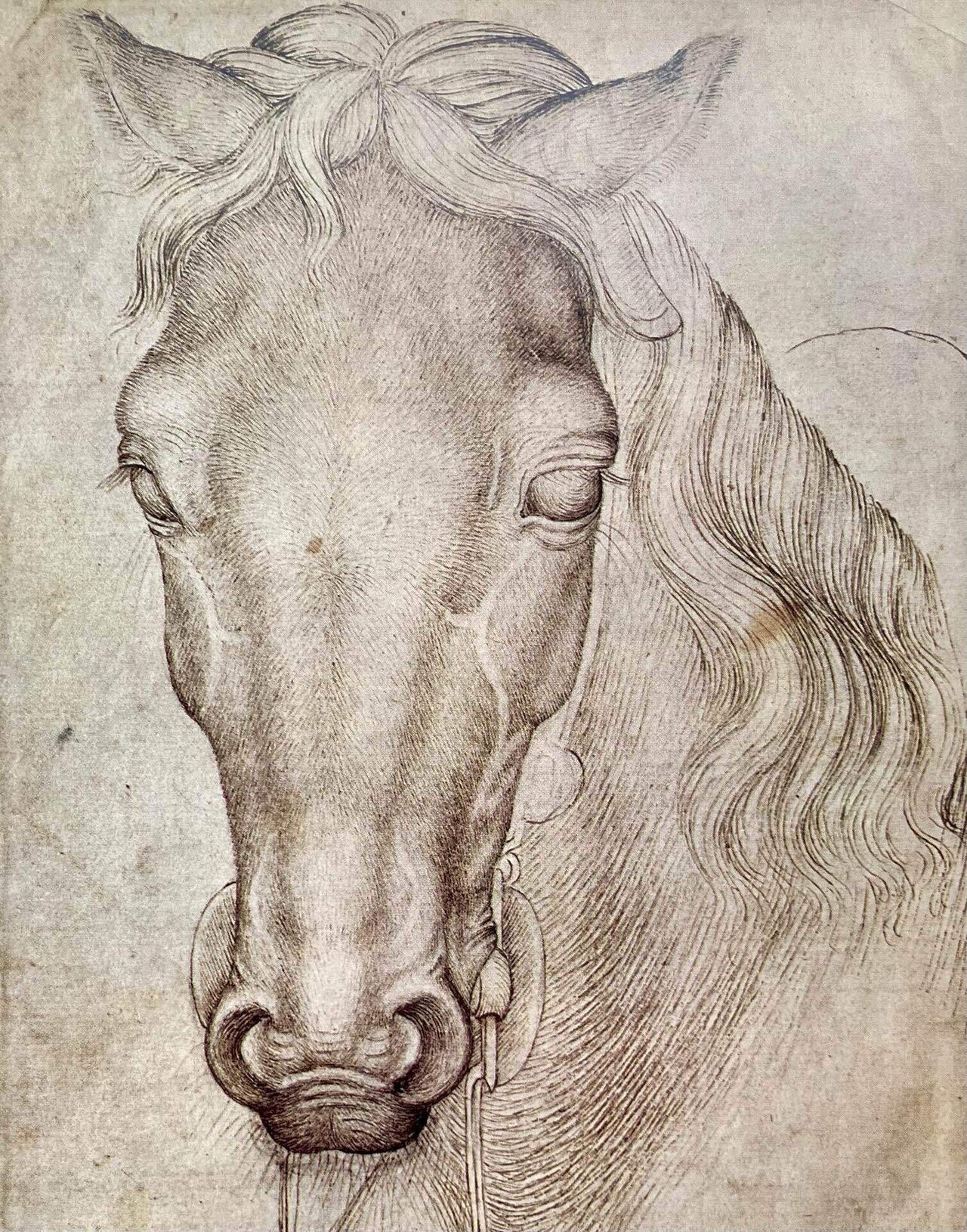 イタリアで購入した絵 56cmアクリル額イタリアで版画化☆イタリア リヴィエラ リビエラ