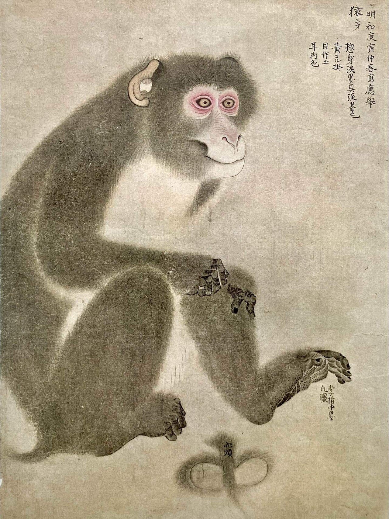 80歳夫婦イタリア絵画旅行記 (32)｜Caita911