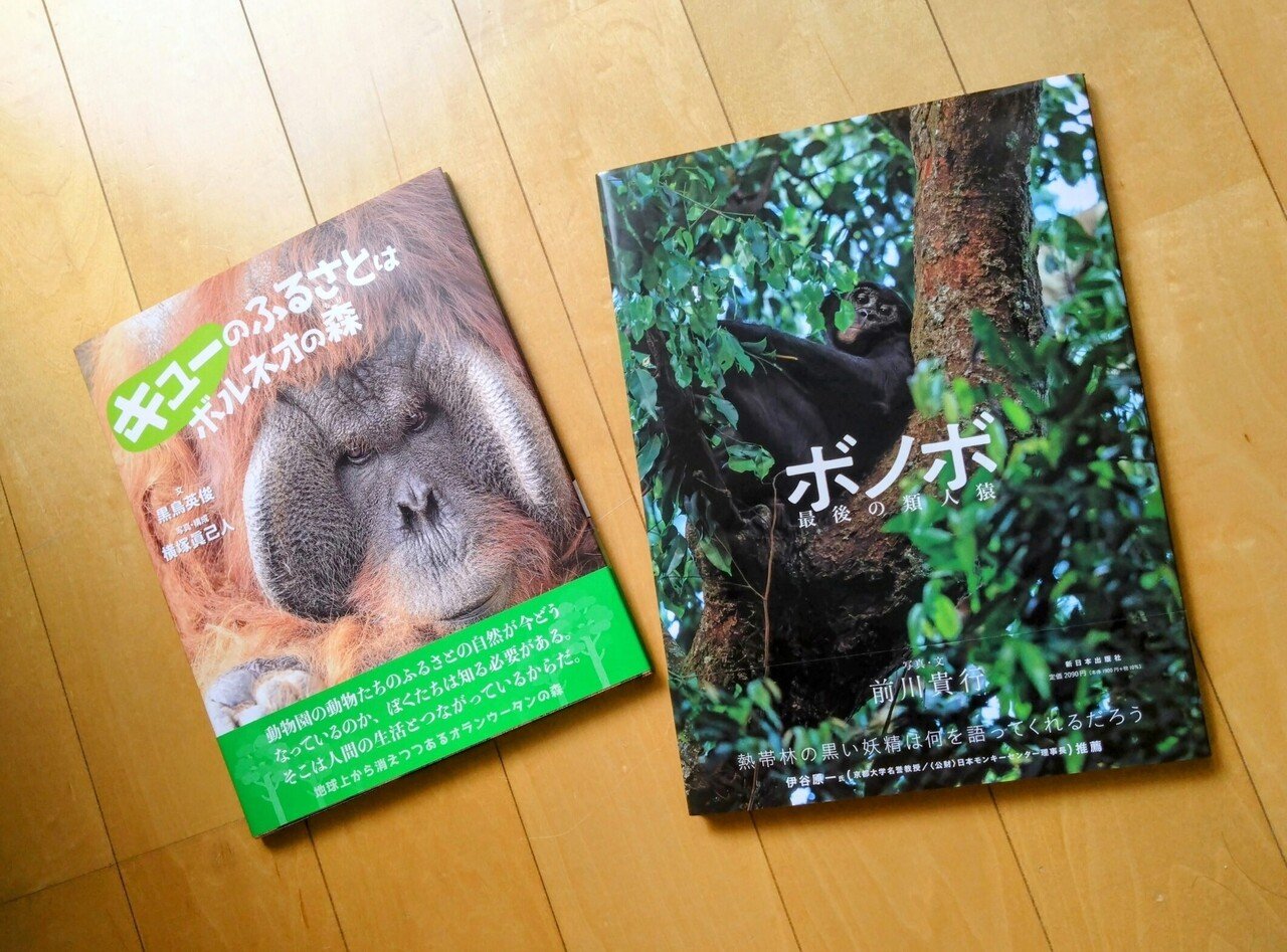 類人猿の写真絵本が二冊、手元に届きました。『キューのふるさとは