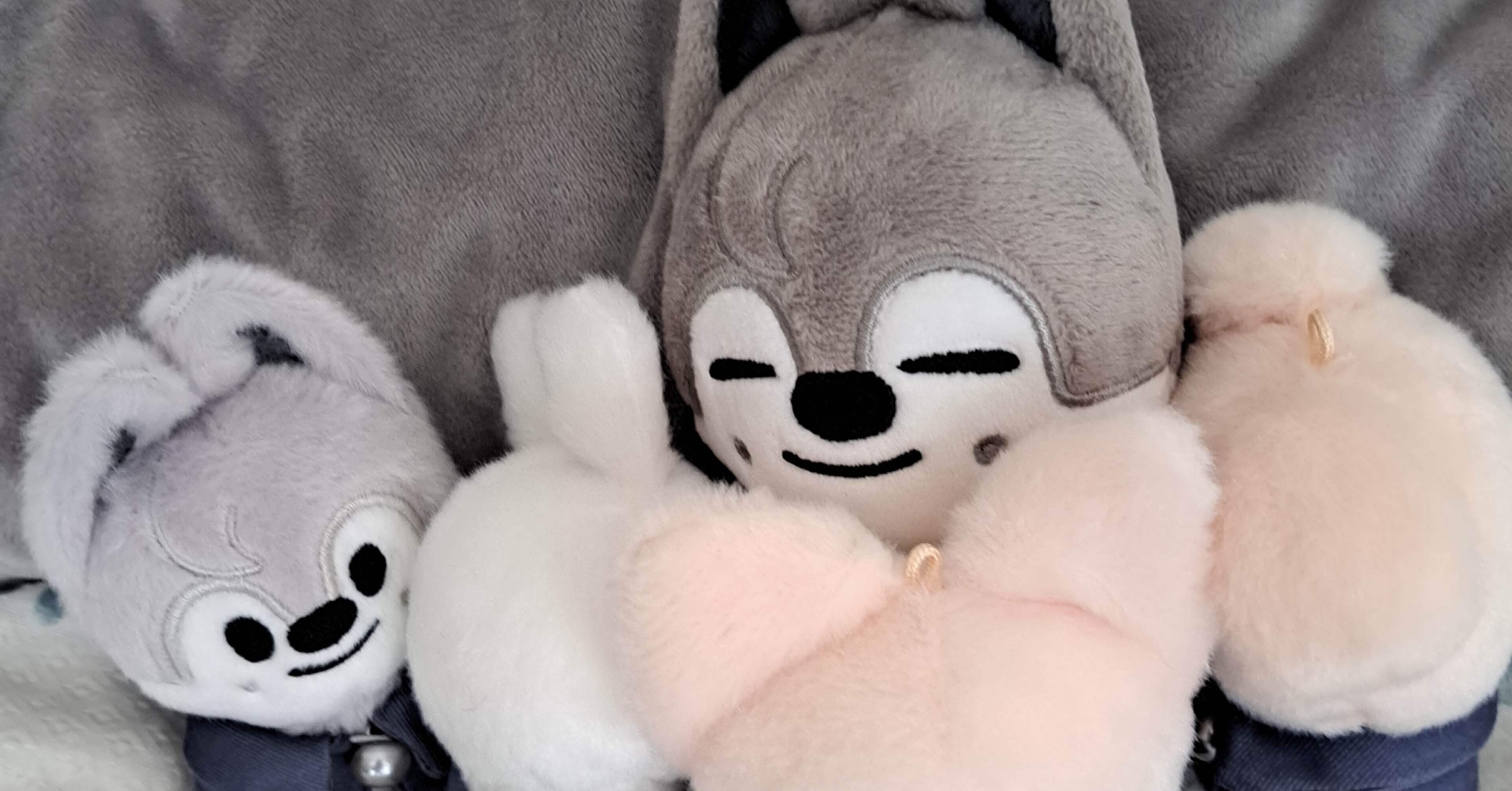 【☺︎︎様ご確認ページ(1)】ウルフチャン 我が家のskzooたち①｜あや