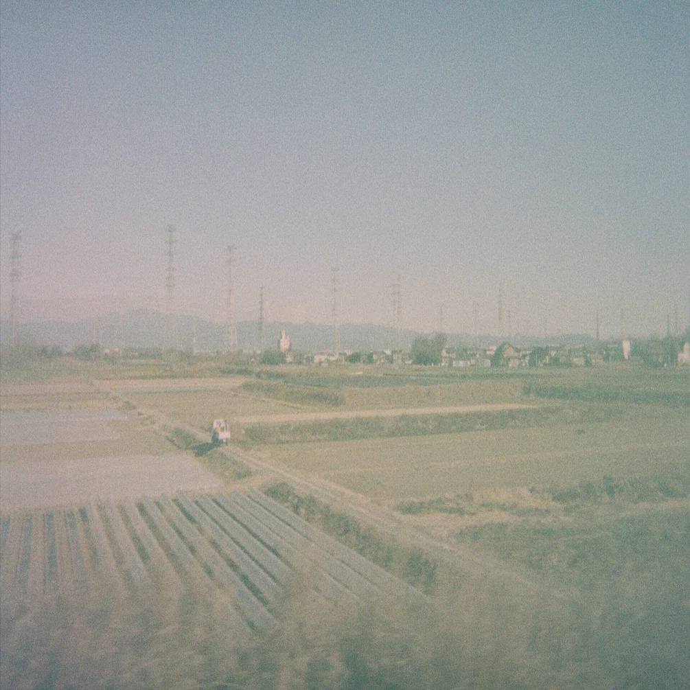 2004年の期限切れ写ルンですで撮る伊豆｜かうちぽてと