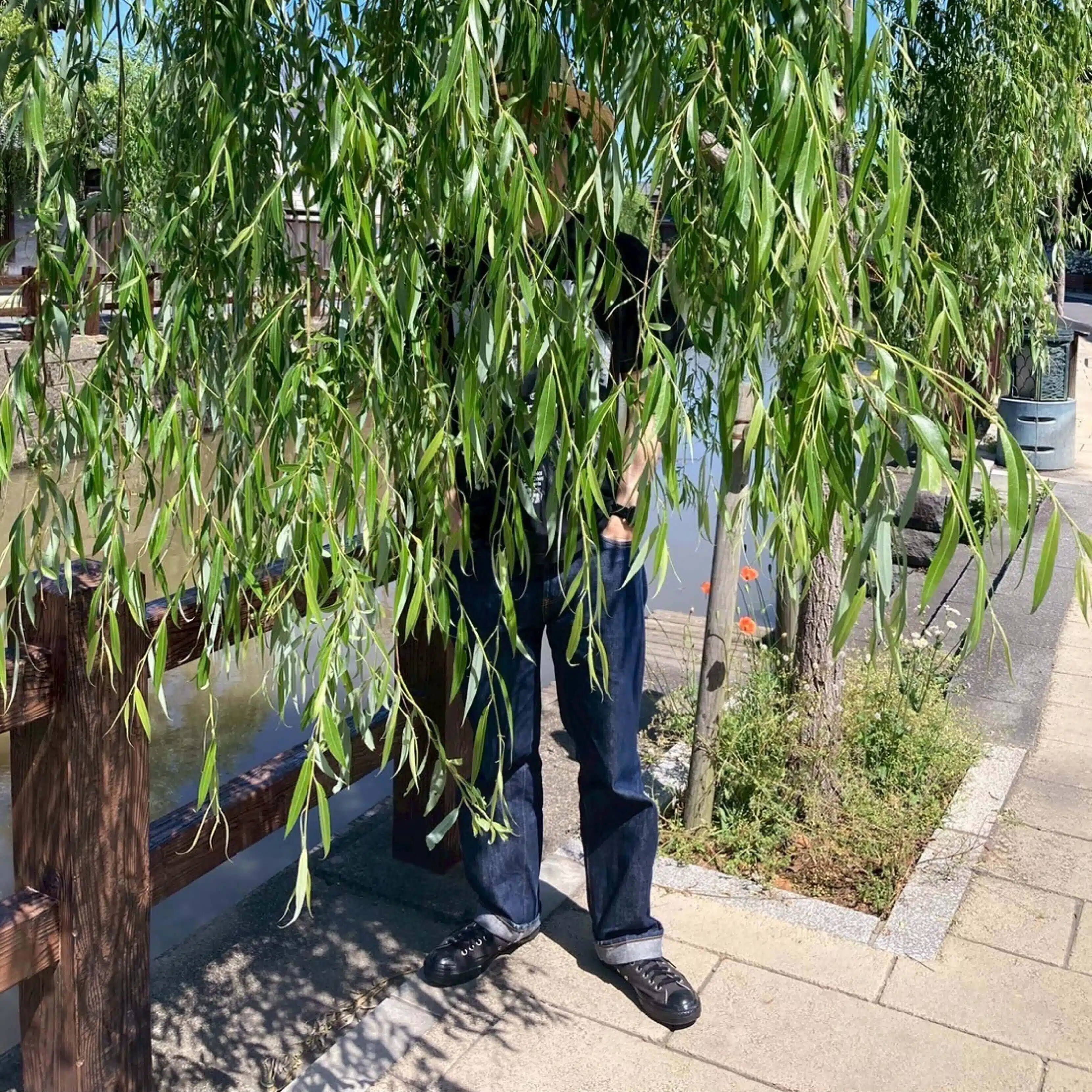 水野 格照　みずのかくてる