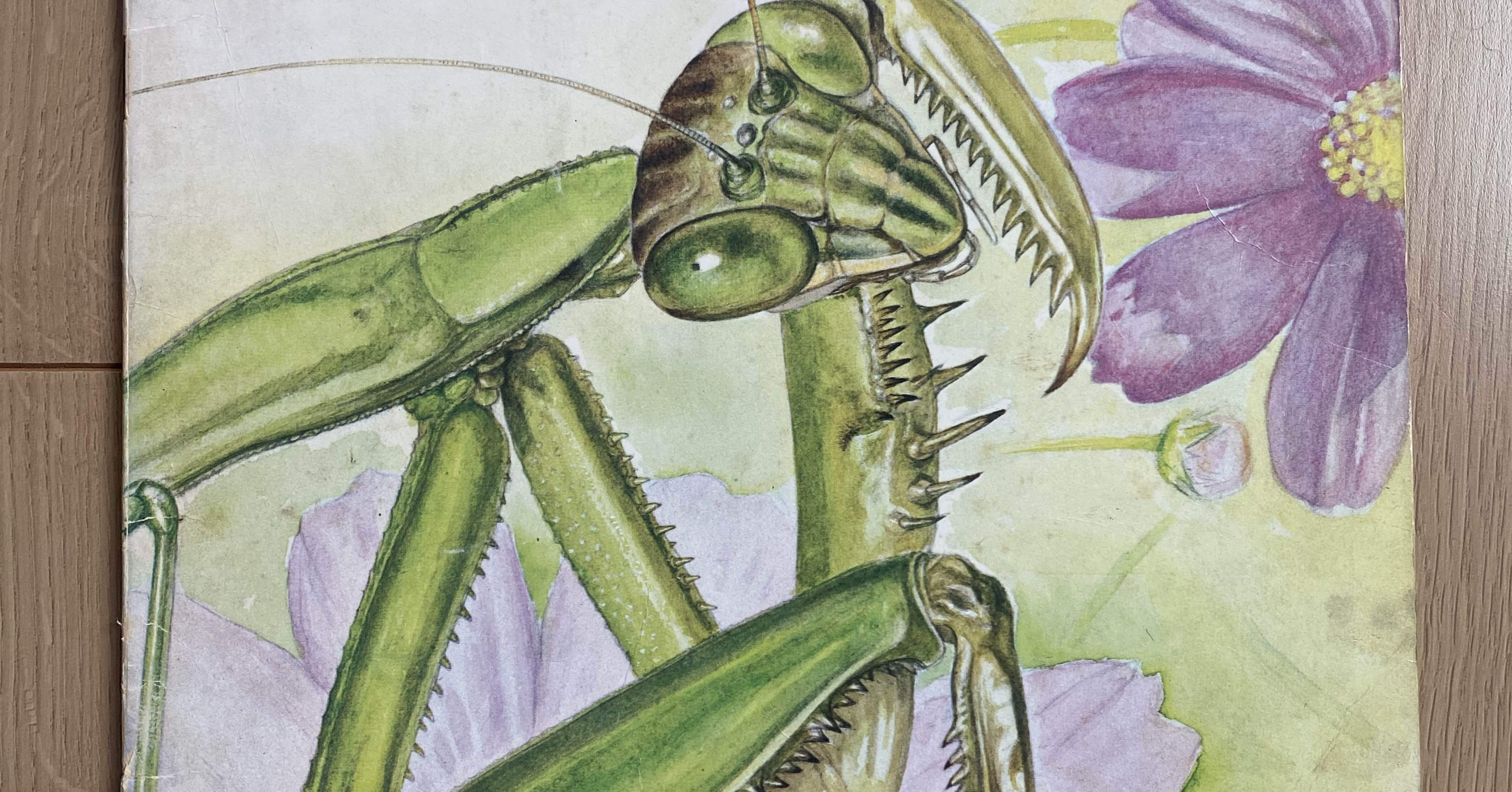 a22a6abfeb9a80d23a05181894e71e