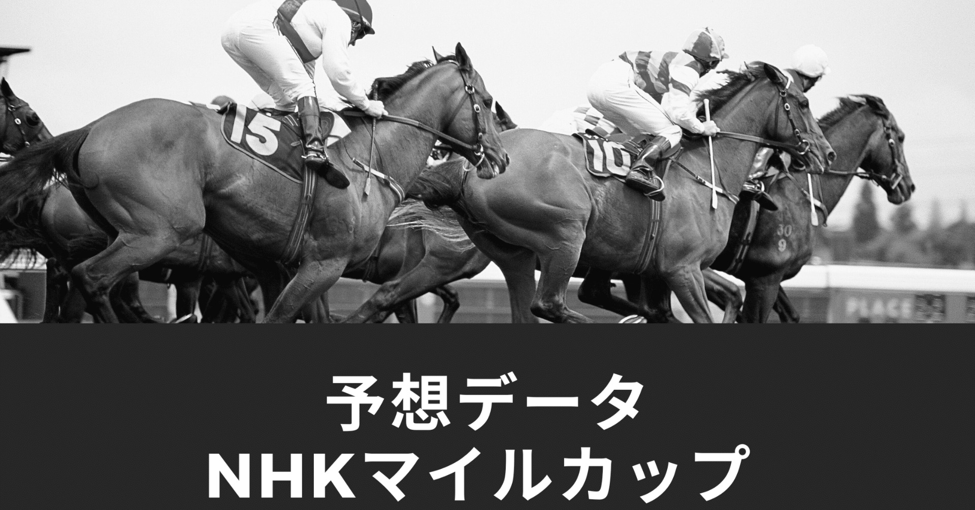 【期限切れ単勝馬券】　NHKマイルカップ 2009 全出走馬 期限切れ単勝馬券】 NHKマイルカップ 2009 全出走馬 - メルカリ