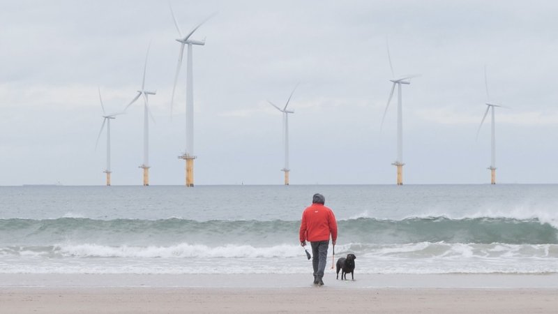 風力発電と犬と人２