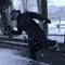 むらさきぃの