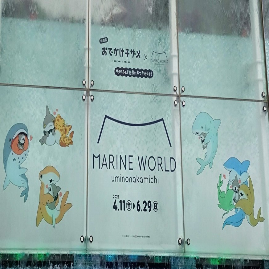 おでかけ子ザメちゃんinマリワ｜CarryFlower